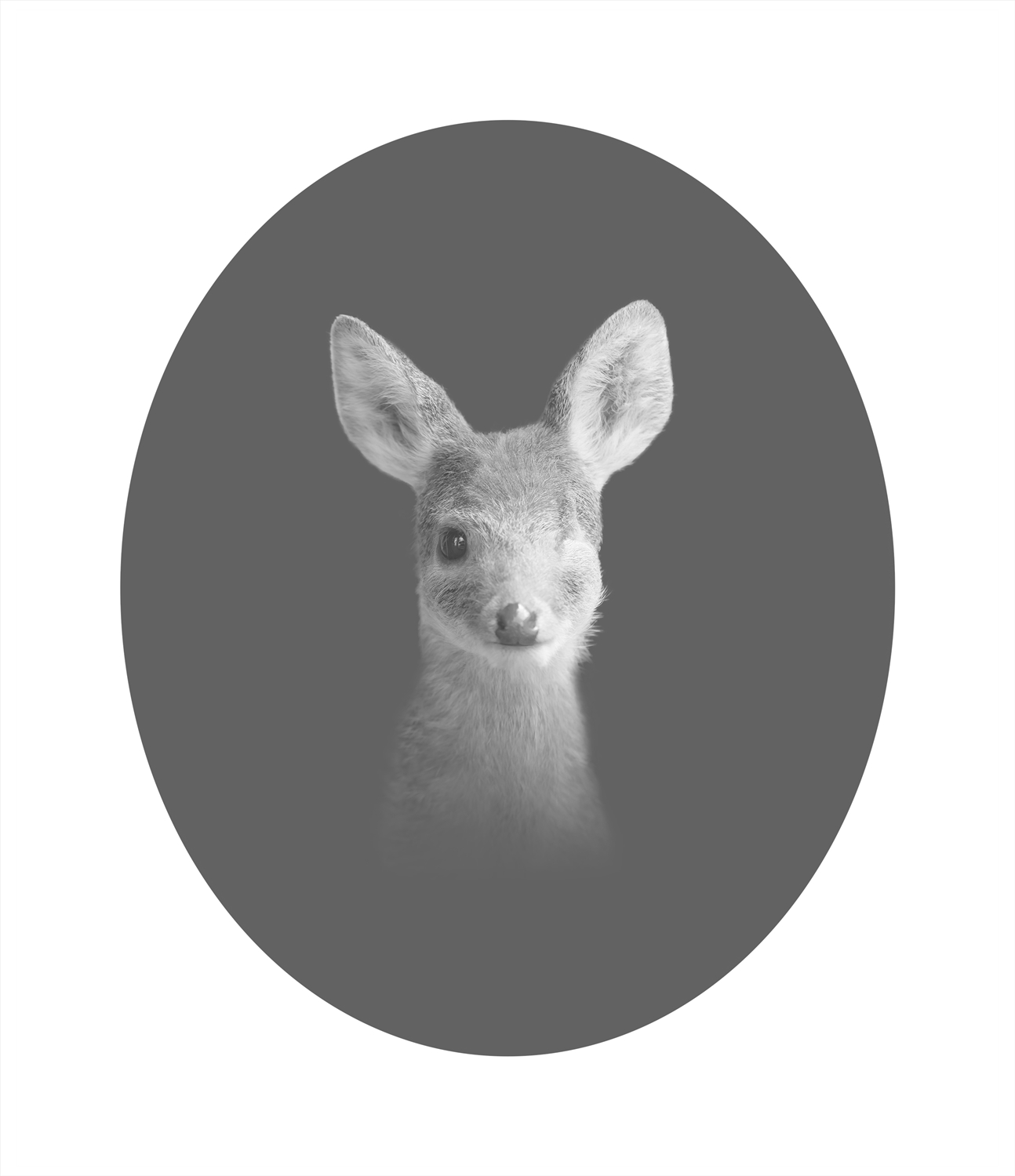 라니 48