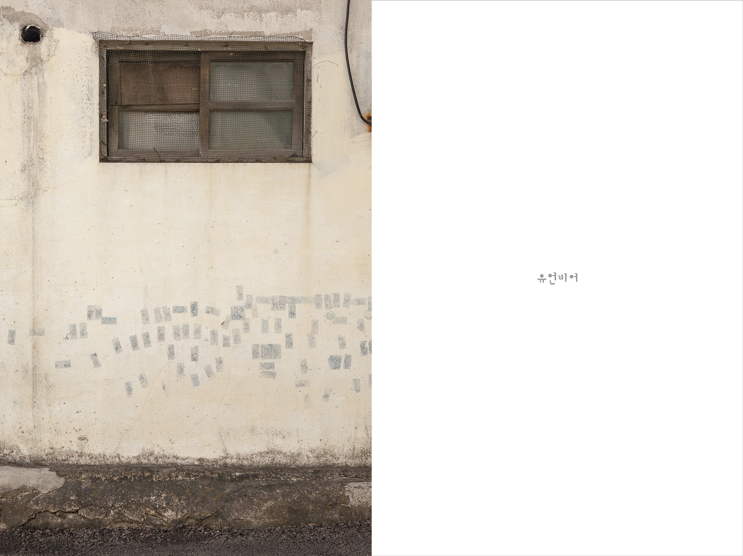 Groundless Rumor